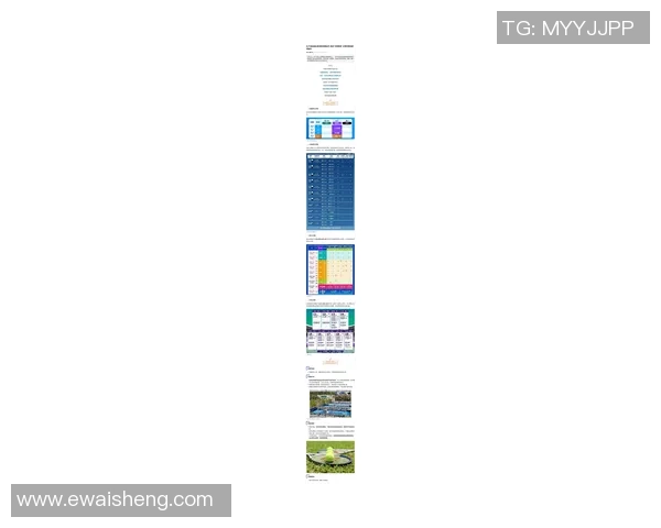 上海网球队创历史新高网球状态排名再创新纪录