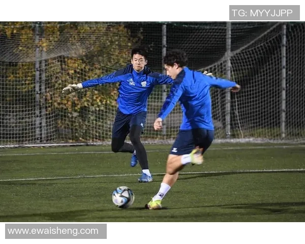 从小球场到世界舞台足球明星们的成长故事与梦想追逐